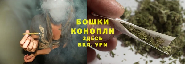 трава Бородино
