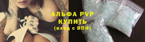 трава Бородино