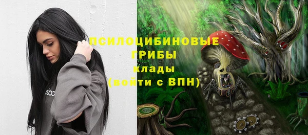 таблы Верхний Тагил