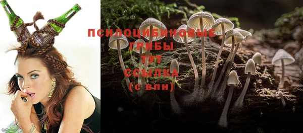 трава Бородино