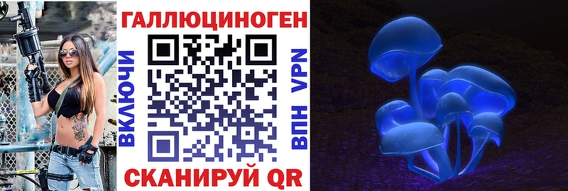 Галлюциногенные грибы Magic Shrooms  shop формула  Каменногорск  закладки 