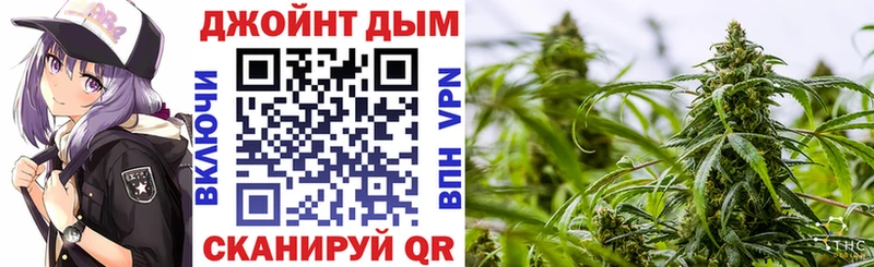 Марихуана сатива  Каменногорск 